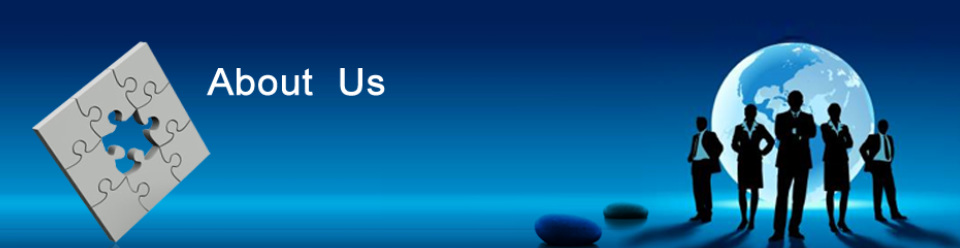 privacy-policy image